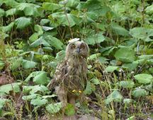 25 Sanfter Absturz ins Tal